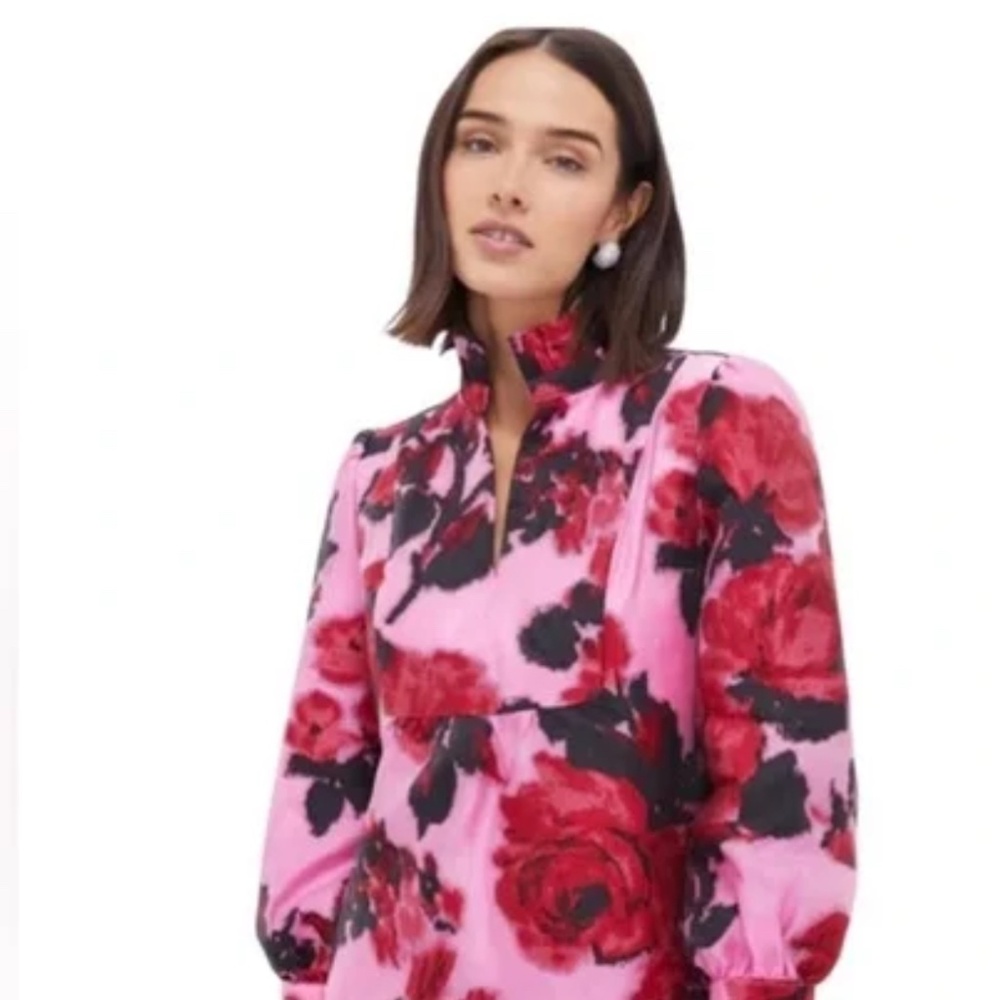 Tuckernuck Pink Floral Long-Sleeve Dress with Red Blooms
